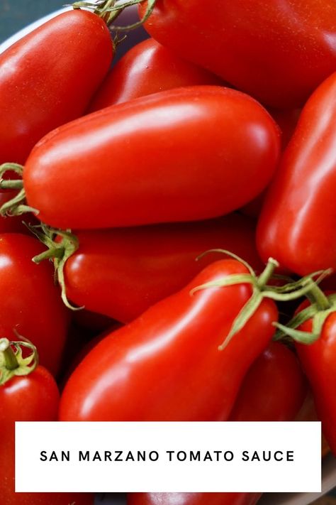 san marzano tomatoes Best Italian Tomato Sauce Recipe, San Marzano Tomatoes Recipes, San Marzano Tomato Sauce Recipes, Pasta Sauce With Fresh Tomatoes, Make Tomato Sauce, How To Make Tomato Sauce, Cabbage Steaks Recipe, San Marzano Tomato Sauce, Tomato Pizza Sauce