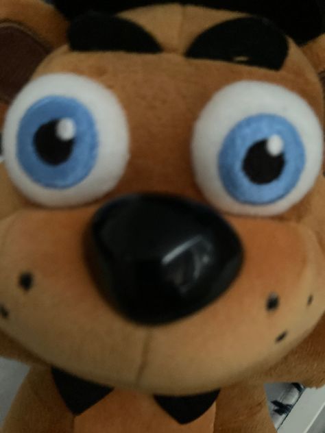 Fnaf Foxy Plush, Fnaf Plushies, Fnaf Plush, Foxy Plush, Birthday Pizza, Memes Fnaf, Freddy Plush, Pizza Games, Fnaf Foxy