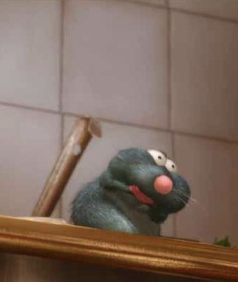 #ratatouille