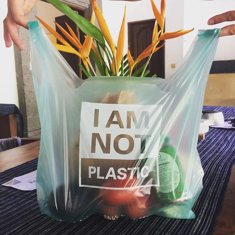 Avani, an Indonesian startup has developed a bio-degradable plastic bag that is safe to eat! #fightplastic Plastic Bag Design, Plastic Problems, Eco Packaging, Compost Bags, Biodegradable Packaging, Biodegradable Plastic, Eco Friendly Bags, Compostable Packaging, Tshirt Bag