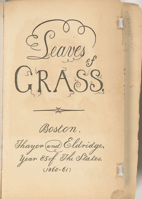 Song of Myself Study Guide Walt Whitman Poems, Sean Adams, Leaves Of Grass, American Poetry, Walt Whitman, Typography Letters, E Reader, Book Authors, Book Making