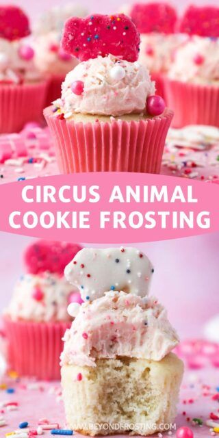 Animal Cookie Cupcakes, Animal Cookies Recipe, Frosted Animal Cookies, Frosting Flavors, Circus Animal Cookies, Frosted Animal Crackers, Funfetti Frosting, Beyond Frosting, Animal Cracker