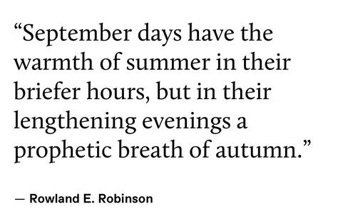 Wanderers Academia Aesthetic, September Quotes Aesthetic, September Aesthetic Quotes, Quotes About September, September Aesthetic Month, September Quotes Autumn, September Poem, Autumn Quotes Aesthetic, September Poetry