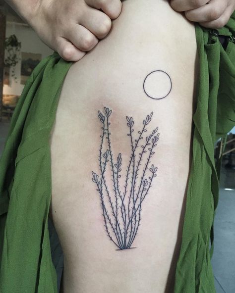 9,805 Likes, 48 Comments - Tea (@tealeigh) on Instagram: “Ocotillo for Brooke who traveled from my home town of Denton Tx ” Ocotillo Cactus Tattoo, Desert Floral Tattoo, Desert Plants Tattoo, Desert Plant Tattoo, Ocotillo Drawing, Christmas Cactus Tattoo, Desert Flowers Tattoo, Ocotillo Tattoo, Desert Tattoo Sleeve