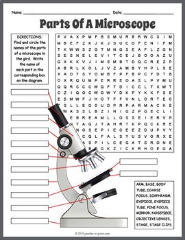 Parts of a Microscope Word Search Microscope Worksheet Free Printable, Parts Of A Microscope Worksheet, Microbiology Worksheets, Microscope Activity, Science Basics, Part Of A Microscope, Biology Aesthetic, Parts Of A Microscope, Cells Worksheet