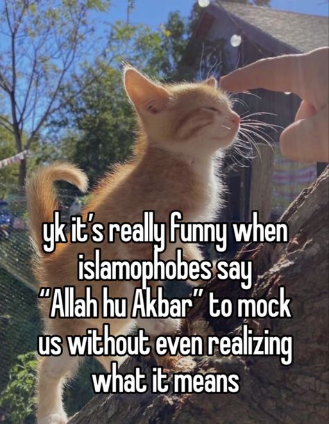 posting this on my main as well cuz why not #whisper #whispers #whisperpost Allah Is The Greatest, Muslim Meme, Al Qur'an Aesthetic, Islam Quotes About Life, Muslimah Aesthetic, Muslim Lifestyle, Muslim Book, Get Educated, Very Funny Pictures