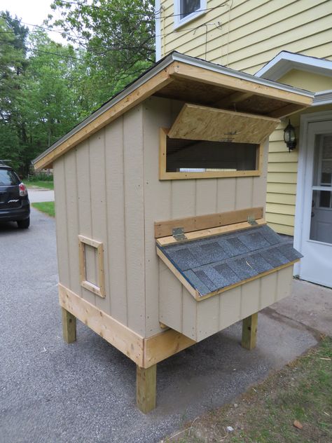 Coop windows are completed, trim is added, and the nest box is finished. The nest box is 3' x 1' and has a hinged roof. | BackYard Chickens - Learn How to Raise Chickens Chicken Coop Windows, Coop Windows, Chicken Coop Designs Diy, Make A Window, Backyard Chicken Coop Plans, Diy Chicken Coop Plans, Chicken Coop Run, Backyard Chicken Farming, Chicken Coop Designs