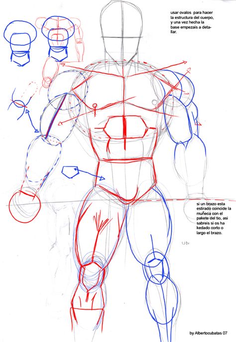 Anatomia de Dragon Ball by albertocubatas on DeviantArt How To Draw Dragon Ball, Dragon Ball Art Style, Dragon Ball Drawing, Dbz Drawings, Goku Drawing, Ball Drawing, Human Anatomy Drawing, Body Drawing Tutorial, Human Figure Drawing