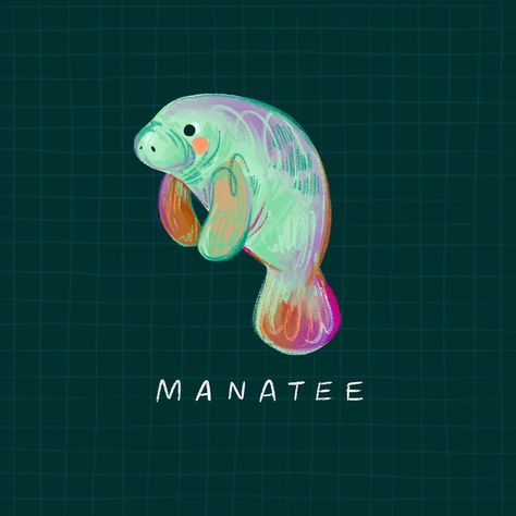 All Posts • Instagram Manatee Illustration, Manatee Art, Manatees, Illustration Procreate, Into The Water, The Alphabet, Art Stuff, One Day, Knowing You