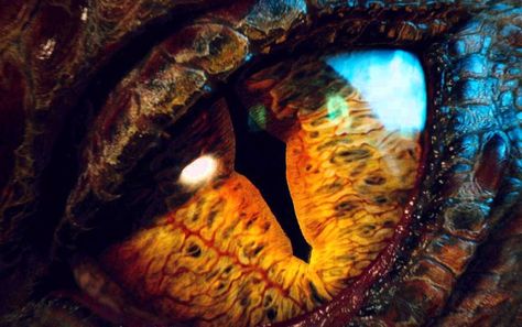 Smaug's eye I See Fire, Breathing Fire, Here Be Dragons, Dragon Eye, Jrr Tolkien, Legolas, Gandalf, Dark Lord, Blender 3d