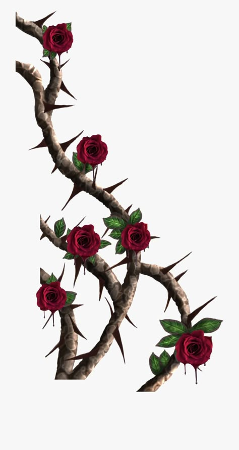 Drawing Of Rose, Rose Vine Tattoos, Thorn Tattoo, Cartoon Rose, Vine Drawing, Rose Thorns, Rose Vine, About Rose, Vine Tattoos