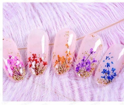 Nail Crystal Designs, Dried Gypsophila, Gypsophila Flower, Nail Tip Designs, Natural Nail Art, Water Color Nails, Milky Nails, Super Cute Nails, Colorful Nail Art