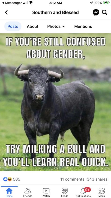 A Bull, Funny Jokes For Adults, Funny Cartoon Quotes, Best Pics, Funny Picture Quotes, Cartoon Quotes, Sarcastic Quotes Funny, Twisted Humor, Hell Yeah