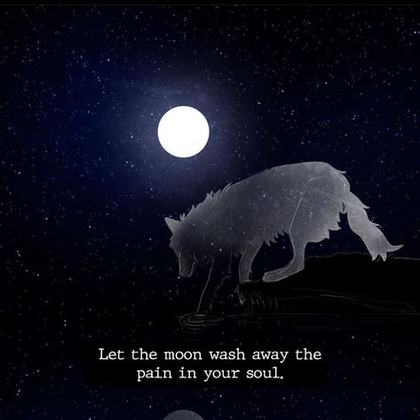 Wolf Pfp Aesthetic, Therian Quotes, Wolf Aesthetic Wallpaper, Wolf And The Moon, Spirit Wolf, Werewolf Aesthetic, Spirit Animal Art, Wolf Quotes, Wolf Spirit Animal