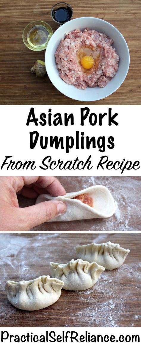 Asian Pork Dumplings (Gyoza) – Scratch Recipe Asian Pork Dumplings Recipe, Dumplings From Scratch Recipe, Asian Dumpling Recipe, Pork Dumplings Recipe, Dumplings From Scratch, Homemade Dumplings Recipe, Asian Dumplings, Pork Dumplings, Asian Pork