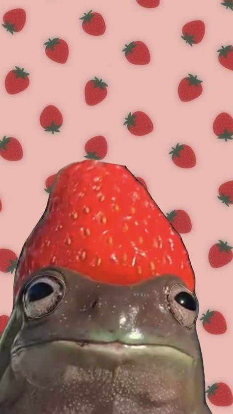 #strawberry #frog #weirdcore #weird #aesthetic #aestheticmoodboard #pink #cottagecore #retro #vintage #mood #moodboards #art #artcollage #myfirstshuffle #ifollowback #taylorswift #trippy #wallpaper #y2k Funny Bg Wallpaper, Weird Wallpaper Iphone Funny, Weird Backgrounds Iphone Wallpaper, Weird Wallpapers Aesthetic, Weird Asthetic Wallpers, Strawberry Frog Wallpaper, Wierd Wallpapers Funny, Weird Astethic, Weirdcore Wallpaper Iphone