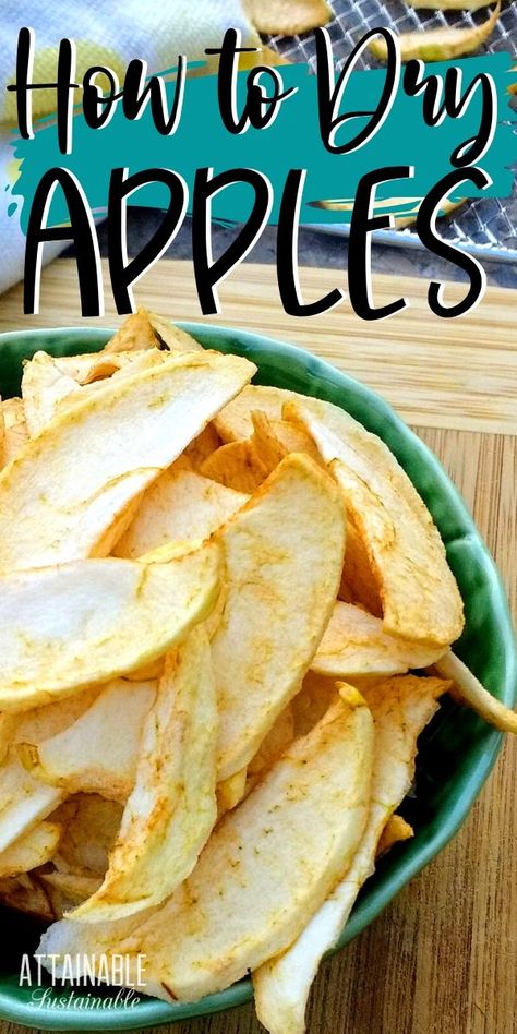 Pack some of these dried apples in your lunch or take them on the trail for a healthy snack. Dehydrating apples while they’re in season means you can enjoy your favorite fruit all year long. Instructions for oven, dehydrator, and air fryer! Dry Apples In Air Fryer, How To Dehydrate Apples In Air Fryer, Dehydrate Apples In Air Fryer, Dehydrated Fruit In Air Fryer Oven, How To Dry Apples In Air Fryer, Air Fryer Dried Fruit Recipes, Dehydrating Apples In Oven, Drying Apples In Air Fryer, Dehydrate Vegetables In Air Fryer