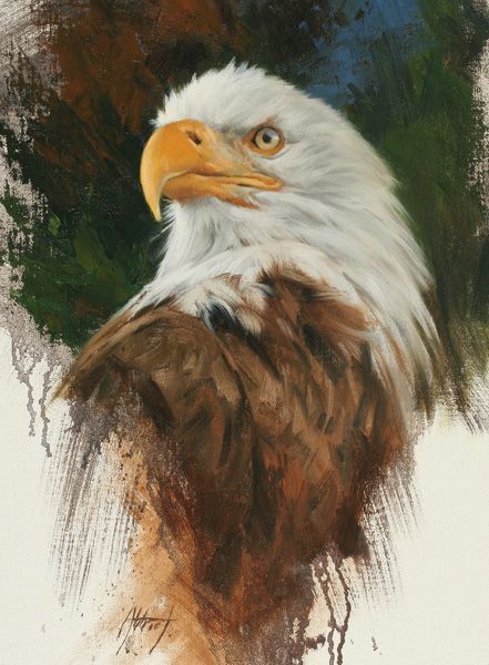 A solo show of new wildlife portraits by painter Edward Aldrich is on view at Sorrel Sky Gallery in Durango, CO. Eagle Portrait, Regard Animal, Benfica Wallpaper, Eagle Drawing, Eagle Painting, Eagle Pictures, Eagle Art, Wildlife Paintings, Art Magazine