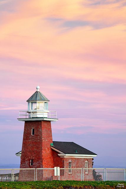 Santa Cruz surfer lighthouse California Museums, Santa Cruz Lighthouse, California Surfer, Santa Cruz California, Lighthouse Pictures, Pacific Coast Highway, Light Houses, California Dreamin', California Coast