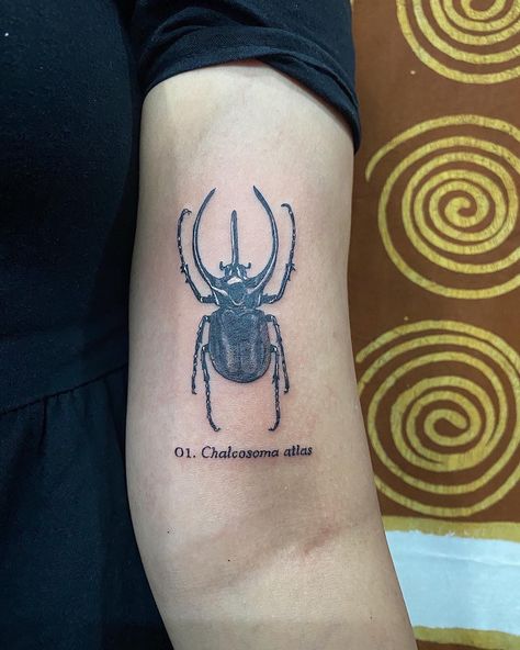 #chalcosomaatlastattoo #beetletattoo #tattoo #chalcosomaastlas Atlas Beetle Tattoo, Hercules Beetle Tattoo, Stick Poke, Atlas Tattoo, Hercules Beetle, Beetle Tattoo, Spiked Jewelry, Tattoo Board, Stick And Poke