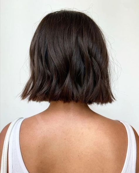 Same Length Bob, Bluntcut Bob Brown, Short Natural Brown Hair, Short Brown Bob Hairstyles, Chunky Bob Haircut Choppy Layers, Brown Short Bob Haircut, Brown Hair Bob Short, Dimensional Brunette Bob, Medium Length Haircut Brown