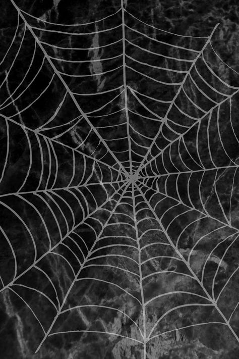 Halloween Themed Wallpaper, Spider Web Drawing, Spiderman Noir, Nightmare Before Christmas Wallpaper, Image Halloween, Halloween Wallpaper Cute, Goth Wallpaper, Spider Art, Fall Background