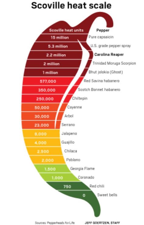 Pepper heat comparison - coolguides Growing Jalapenos, Unique Food Ideas, Bhut Jolokia, Carolina Reaper, Pepper Spice, Condiment Recipes, Scotch Bonnet, Unique Food, Easy Cinnamon