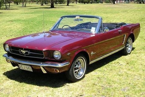 1964 Mustang, Mustang Vintage, Vintage Mustang, 1965 Mustang, Old Vintage Cars, Classic Mustang, Mustang Convertible, Custom Muscle Cars, Concept Car Design