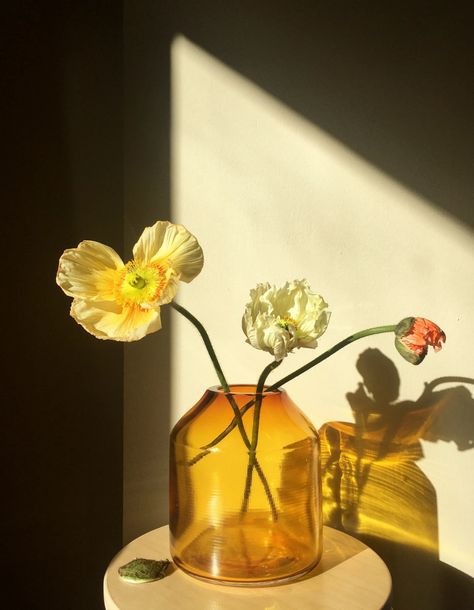 Still Life Pictures, Life Drawing Reference, Glass Objects, Still Life Flowers, Natural Aesthetic, Still Life Photos, Still Life Drawing, Art Prompts, Deco Floral