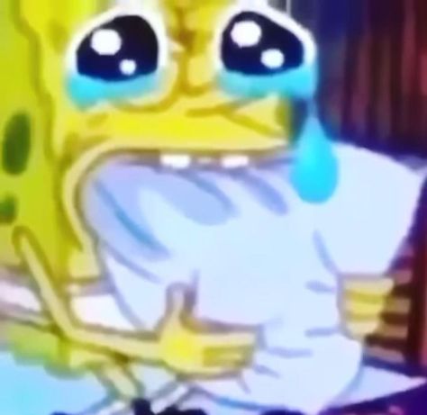 sponge bob crying [Video] | Funny anime pics, Memes, Funny gif Crying Video, Sponge Bob, Instagram Funny Videos, Anime Pics, Funny Profile Pictures, Funny Reaction Pictures, Funny Vid, Instagram Funny, Crazy Funny Videos