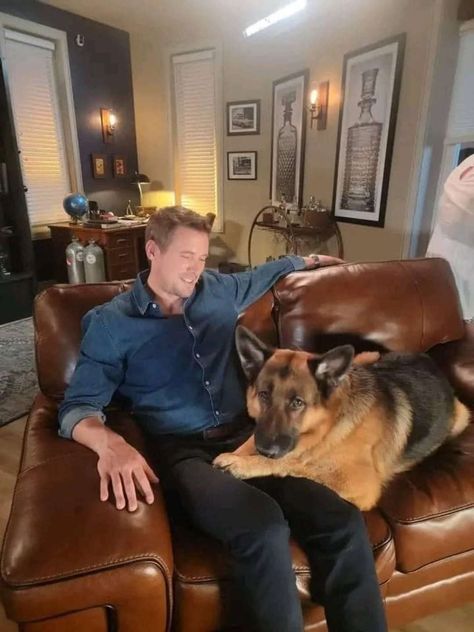 John Reardon, Steve Burton, Major Crimes, Police Detective, Bestest Friend, Pretty Animals, Actor Photo, Shepherd Dog, T Rex