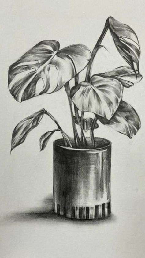 Sketch Ideas Still Life, Simple Shading Drawing Sketch, Drawing Ideas Still Life, Pen Still Life Drawing, Still Life With Pencil Shading, Pencil Art Drawings Shading, Still Life Shading Drawing, Still Life Ideas Drawing, Still Life Drawing Pencil Shading