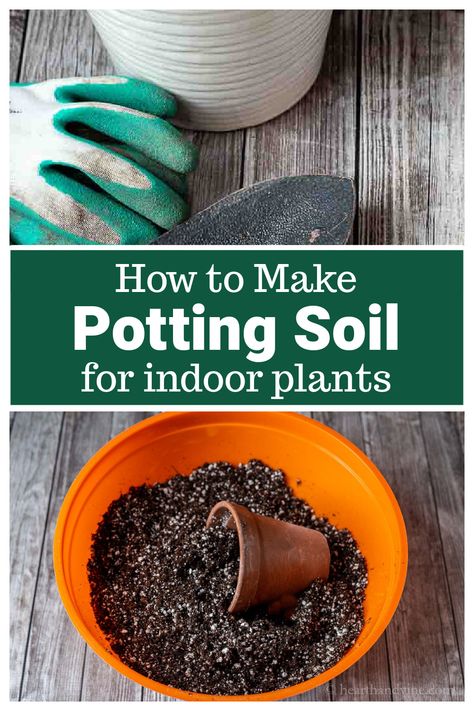 Best Indoor Plant Soil Mixture, Soil Mix For Indoor Plants, Potting Soil For Indoor Plants, Diy Potting Soil, Soil For Indoor Plants, Soil Recipe, Soil Mixture, Propagate Plants, Houseplant Care