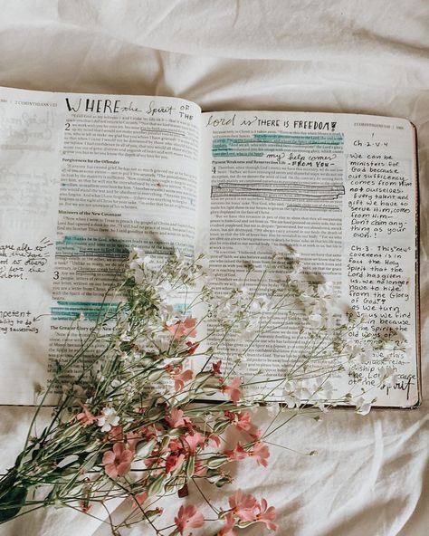 Journaling Ideas For Beginners, Creative Bible Journaling, Bible Journaling Ideas, Open Bible, Creative Bible, Bible Time, Spring Wallpaper, Plant Aesthetic, Journaling Ideas