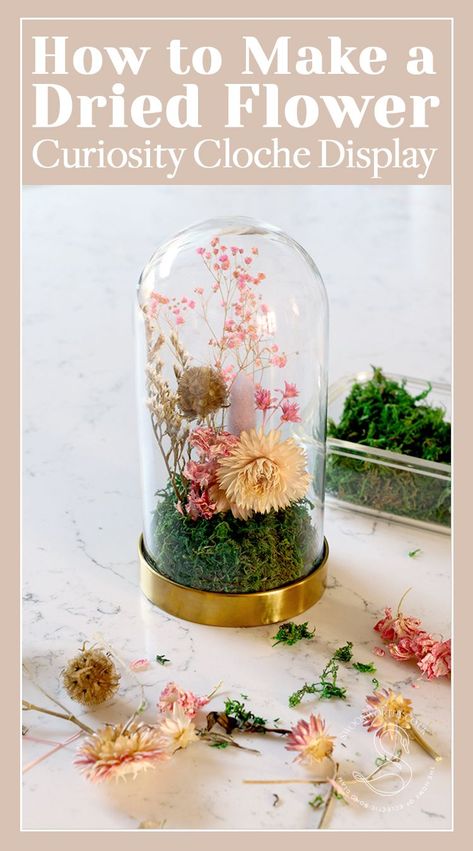 Cloche Flower Arrangement, Dried Flower Cloche, Diy Cloche Ideas, Dried Flowers Ideas Diy, Jar Terrarium Diy, Cloche Crafts, Crystal Terrarium Diy, Floral Cloche, Diy Cloche