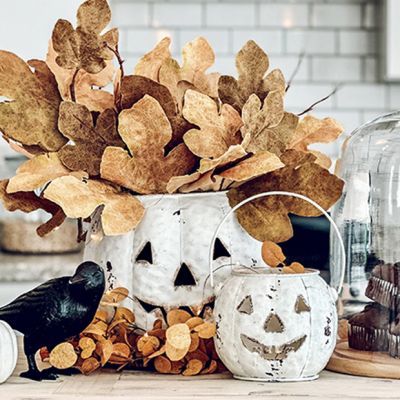 Boho Halloween Decor, Pumpkin Pail, Boho Halloween, Halloween Figures, Rustic Halloween, Halloween Facts, Farmhouse Halloween, Boutique Display, Rustic Fall Decor