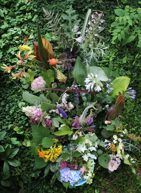 Ellen Hoverkamp, Scanner Photography, Plant Pairings, Botanical Names, He Chose Me, Informative Essay, Floral Foliage, Chose Me, The Gardener