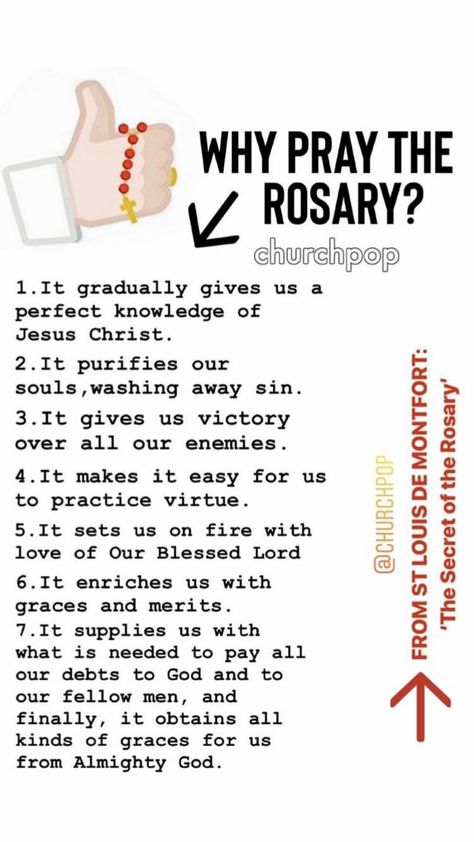 Mother Mary Quotes, Rosary Prayers, Rosary Novena, Prayer Quotes Positive, Rosary Prayers Catholic, Catholic Prayers Daily, Pray The Rosary, Catholic Beliefs, Novena Prayers