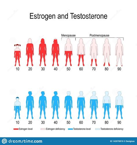 Medical Terminology Study, Testosterone Hormone, Hiit Workout Videos, Human Body Science, Testosterone Therapy, Very Funny Images, Medical Anatomy, Financial Life Hacks, Herbs For Health