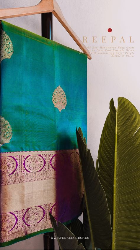 Sarees Product Shoot, Saree Product Photography Ideas, Saree Product Photoshoot, Saree Product Shoot Photography, Saree Product Shoot Ideas, Saree Display Ideas, Saree Product Photography, Fabrics Photoshoot, Saree Product Shoot