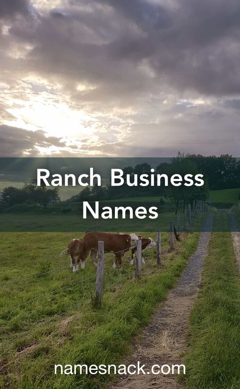 Ranch Names Ideas, Ranch Names, Rural Photography, Royal Names, Free Logos, Hunting Land, Powerful Names, Photography Names, Catchy Names