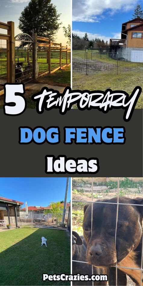 Image showcases four different temporary dog fence ideas with a bold text overlay reading '5 Temporary Dog Fence Ideas.' The designs include wooden and wire fencing options, creating safe spaces for dogs of various sizes in backyard settings. Each fence idea is practical, easily removable, and ideal for pet owners seeking flexible containment solutions without permanent fixtures. The theme focuses on pet safety, easy setup, and versatility. Diy Dog Fence Outdoor Cheap, Temporary Dog Fence Ideas, Temporary Dog Fence, Rv Dog Fence, Dog Yard Fence, Dog Fence Ideas, Diy Fence Ideas Cheap, Temporary Fence For Dogs, Rv Dog