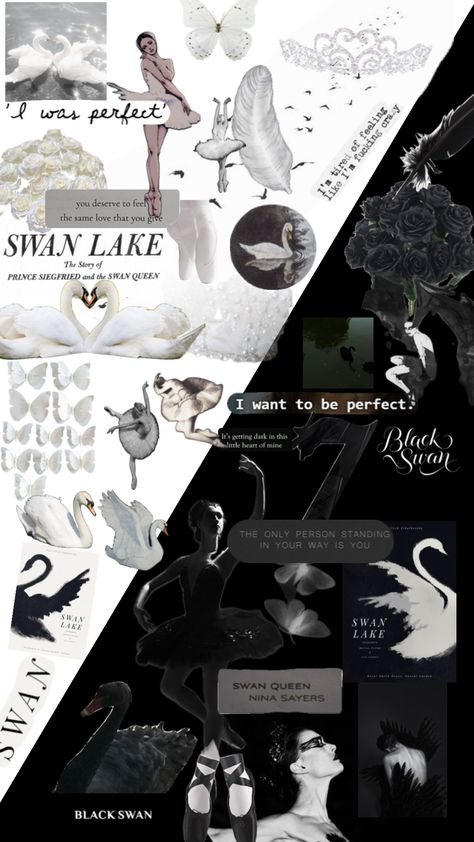 Black Vs White, Dark Swan, Swan Queen, Dance Like This, Same Love, White Swan, I Am A Queen, Swan Lake, Black Swan