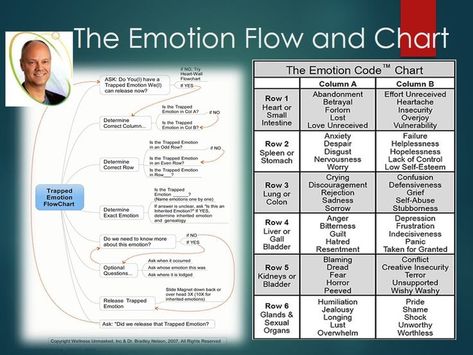 Emotion Code chart and the Flow Chart to use it. Developed by Dr. Bradley Nelson The Emotion Code Chart, Body Code Chart, Emotional Code Chart, Emotion Code Chart, The Body Code, Emotion Code, Energy Psychology, Muscle Testing, Emotion Chart