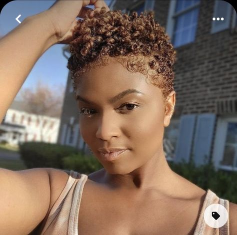 Light Brown Twa Black Women, Blond Tapered Natural Hair, Colored Tapered Natural Hair, Short Natural Colored Hair, Twa With Highlights, Big Chop Styles With Color, Ginger Tapered Natural Hair, Short Brown Natural Hair, Big Chop Natural Hair Color