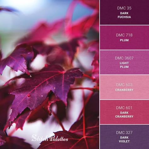 Red Violet Color Palette, Plum Color Combinations, Mulberry Colour Palette, Plum Colour Combinations, Fuchsia Color Combination, Red Violet Palette, Plum Colour, Lilac Color Combinations, Dark Pink Palette