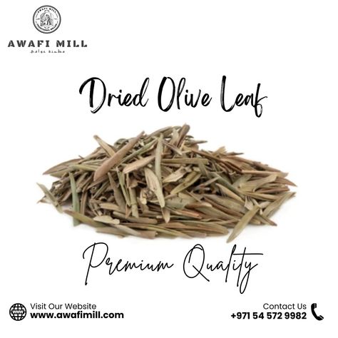 🌿 Dried Olive Leaf - Nature's Nourishment 🌿 Introducing our premium Dried Olive Leaf, carefully harvested from the lush groves of the Mediterranean. Packed with centuries of tradition and health benefits, these leaves are nature's gift for your well-being. 🍃 Pure and Natural: Our Dried Olive Leaves are sourced from organically grown olive trees, ensuring the highest quality and purity. They are meticulously dried to preserve their potent properties and vibrant green color. 💪 Boost Your Imm... Olive Leaf Tea, Growing Olive Trees, Olive Leaves, Olive Trees, Olive Leaf, Leaf Nature, Natural Gifts, Olive Tree, Vibrant Green