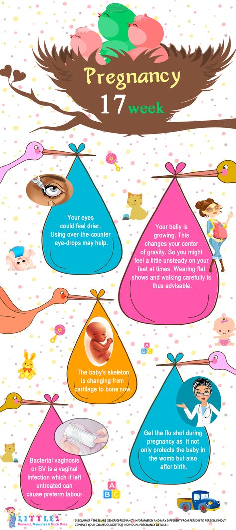 Weekly Pregnancy, Timeline Images, Pregnancy Facts, Pregnancy Week, Pregnancy Info, Pretty Pregnant, Eye Drops, Pregnancy Week By Week, Pregnancy Tips