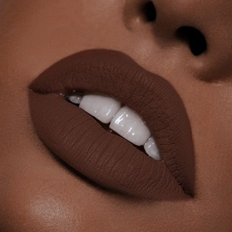 Brown Shade Lipstick Matte Lips, Dark Brown Lipstick Makeup, Brown Lipstick Makeup, Swamp Princess, Lipsticks Colors, Dark Lipstick Shades, Brown Lipstick Shades, Lip Ideas, Dark Brown Lipstick