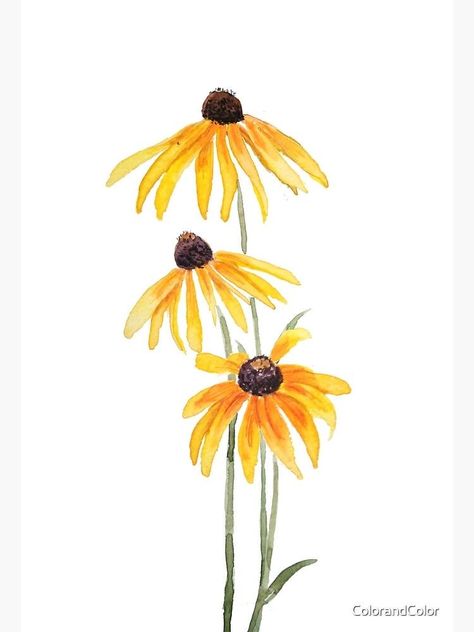 Simple Painted Flowers, Watercolor Paintings For Beginners, Watercolor Bookmarks, Watercolor Flower Art, 수채화 그림, Watercolor Flowers Paintings, Watercolor Paintings Tutorials, Watercolor Art Lessons, Black Eyed Susan